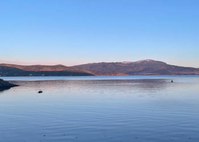 Vagen Fjordbuer - Sagbua